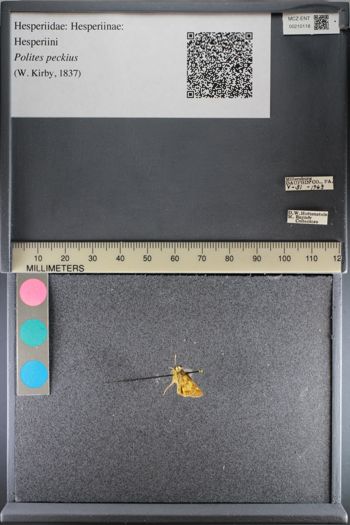 Media type: image;   Entomology 210118